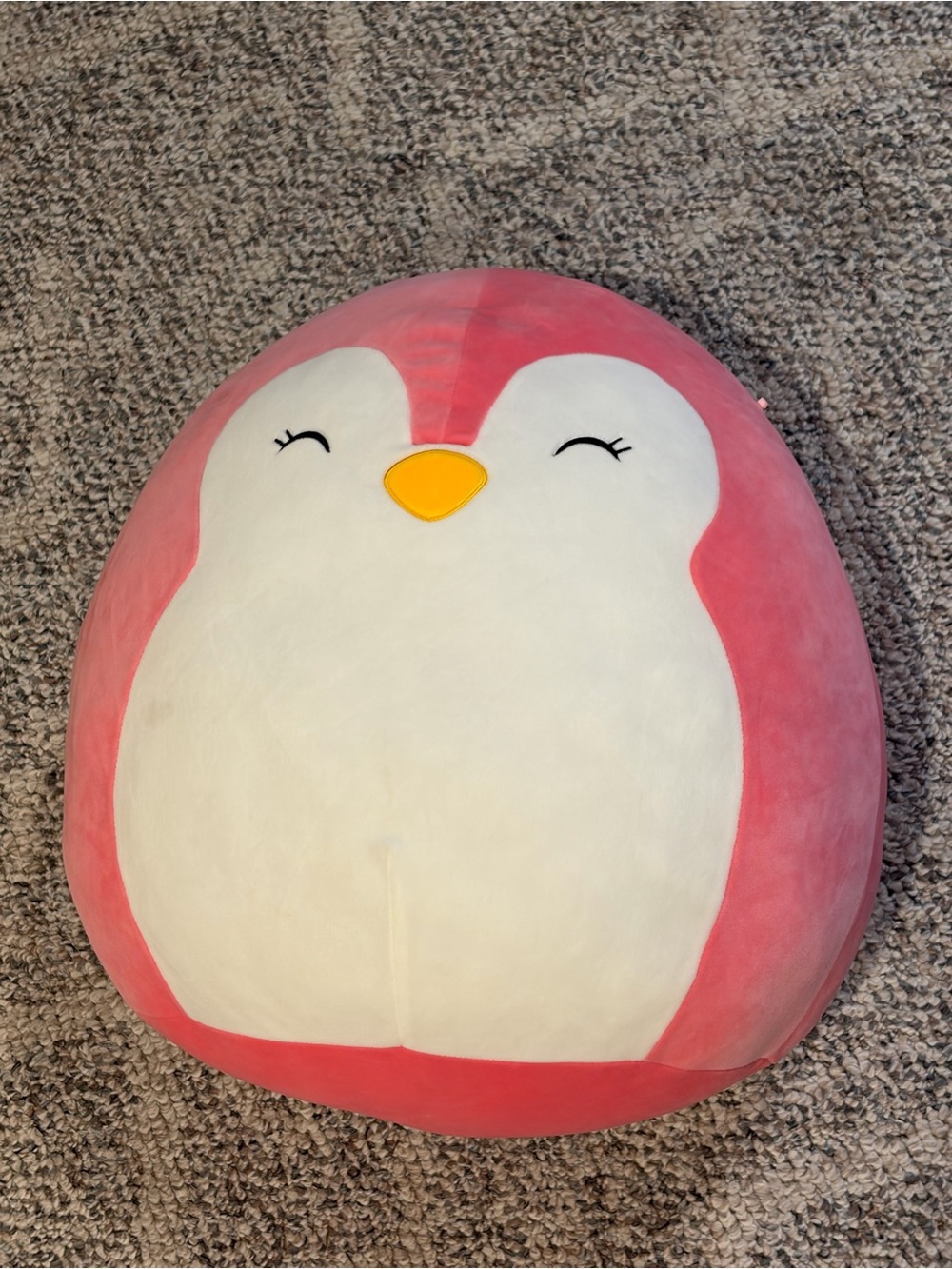 Piper penguin 16 inch squishmellow